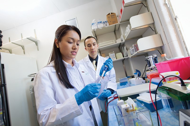 Jefferson College Of Pharmacy Acceptance Rate INFOLEARNERS